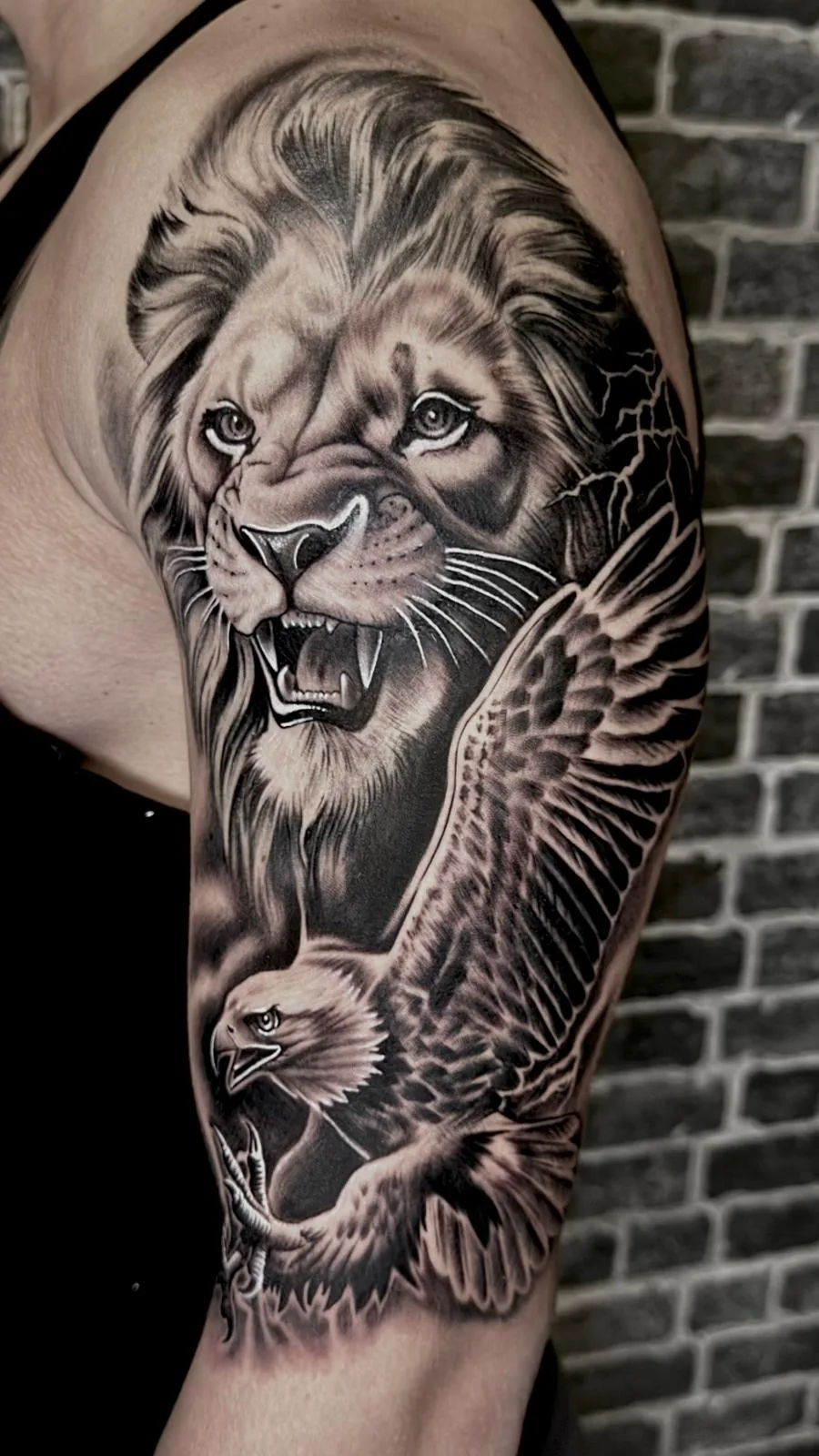 Black & Grey - Leão e águia