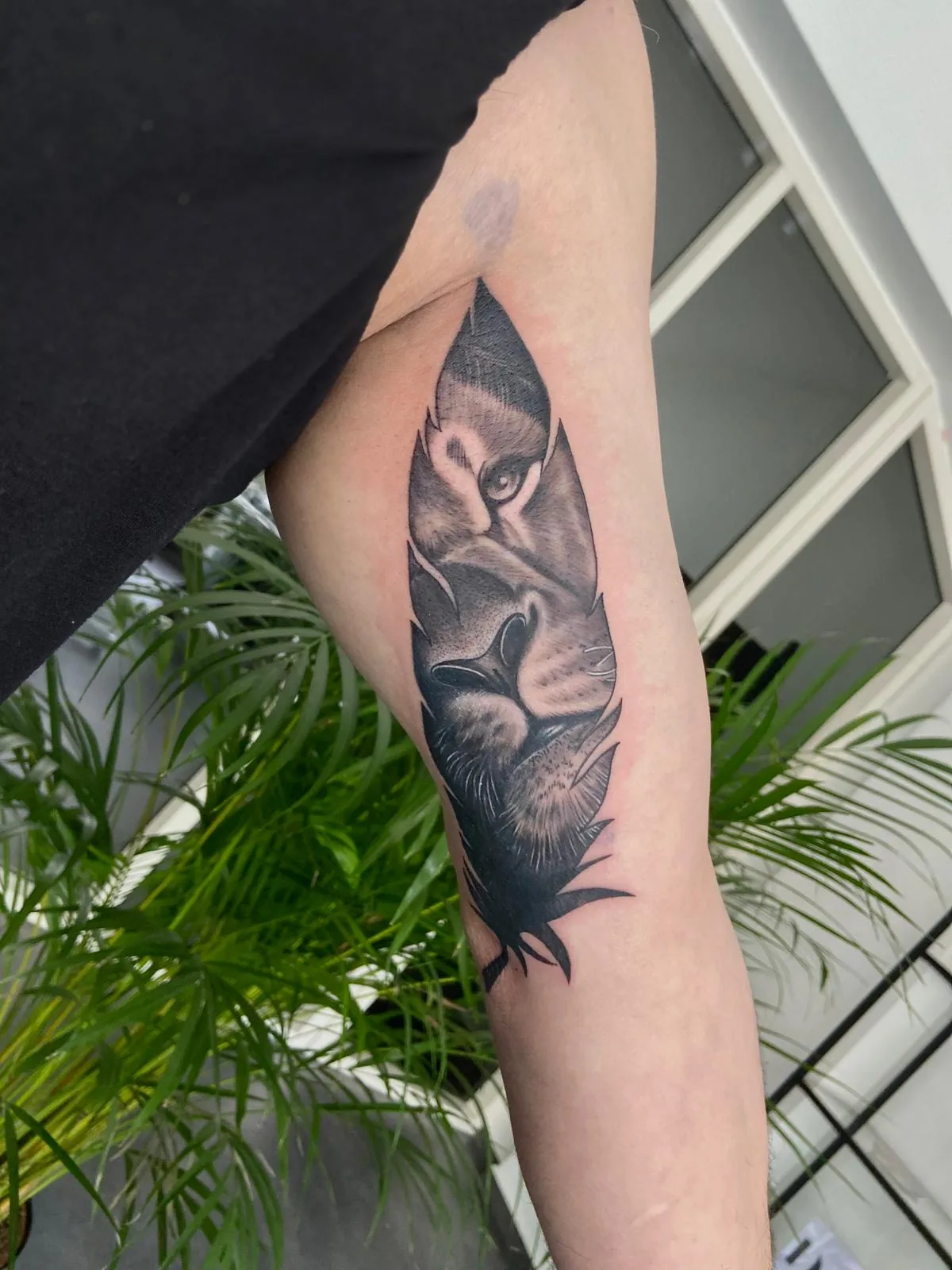 Black & Grey - Lobo geométrico
