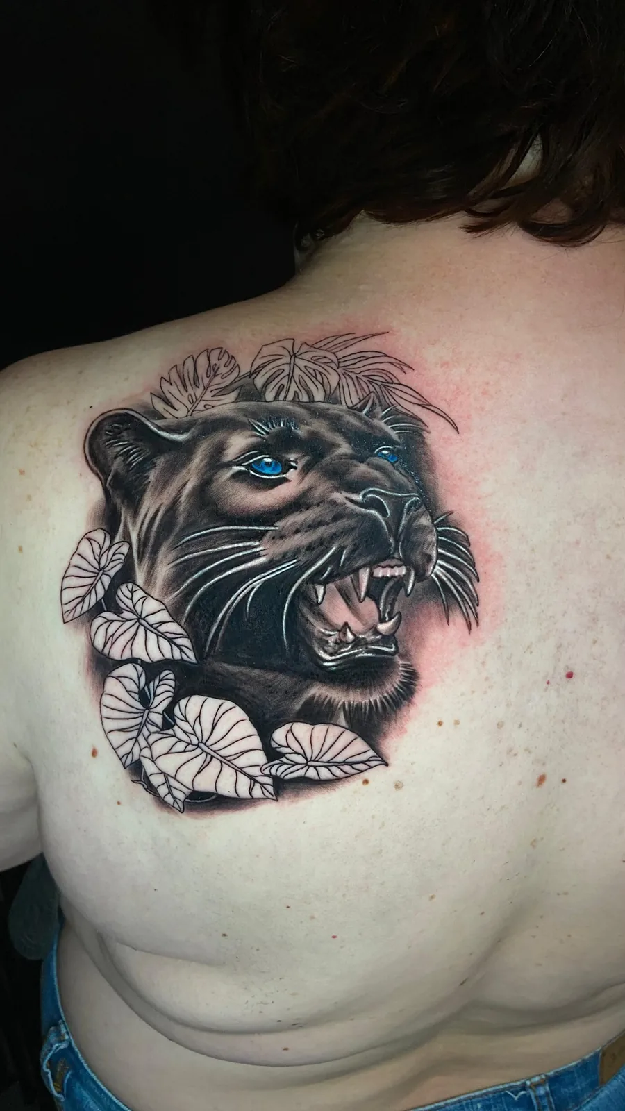 Black & Grey - Pantera no ombro